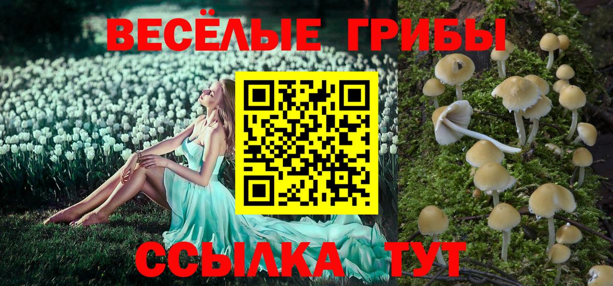 Псилоцибиновые грибы мицелий Артёмовский