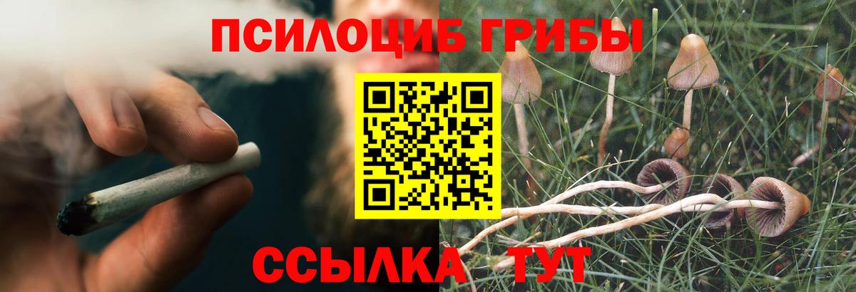 Артёмовский  Псилоцибиновые грибы прущие грибы  Вход с VPN  Галлюциногенные грибы ЛСД 